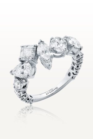 Coexisting Ring ESC-R10