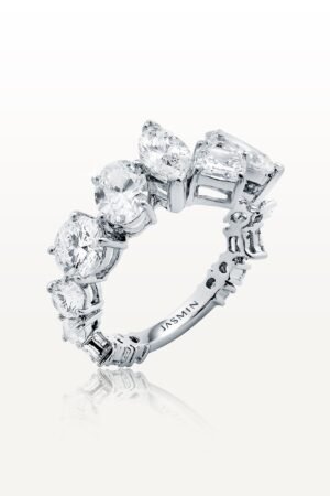 Coexisting Ring ESC-R11