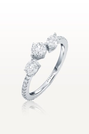 Coexisting Ring ESC-R13