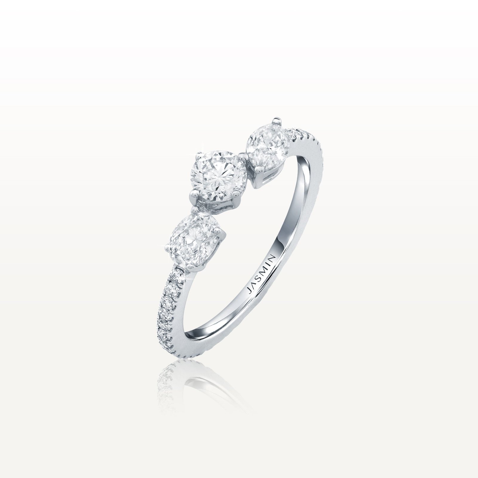 Coexisting Ring ESC-R13