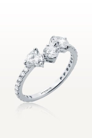 Coexisting Ring ESC-R15