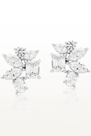 Coexisting Earrings ESC-E15